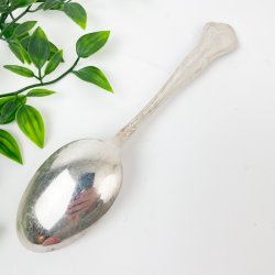 Vintage slvske - Riberhus