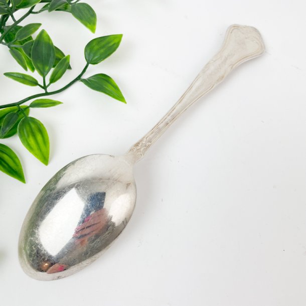 Vintage slvske - Riberhus