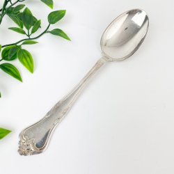 Vintage slvske - Riberhus