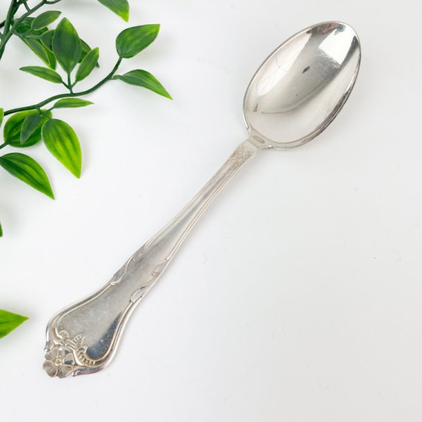 Vintage slvske - Riberhus