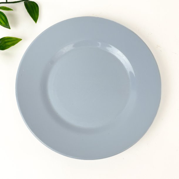 Hellblauer Rosti Kuchenteller