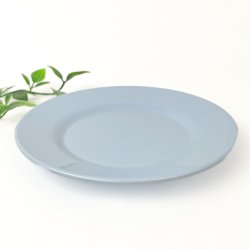 Hellblauer Rosti Kuchenteller