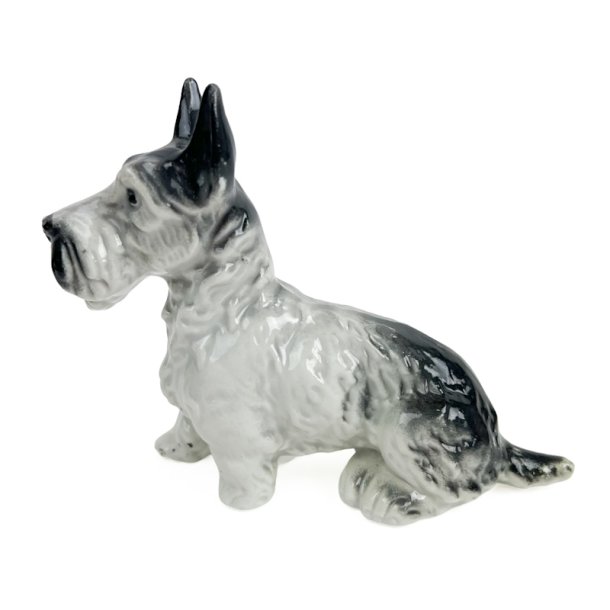 Gr� og hvid vintage terrier