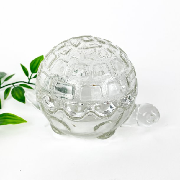 Vintage glasbonbonniere skildpadde