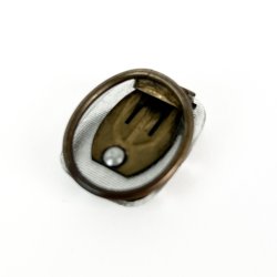 Vintage t�rkl�dering med ornament