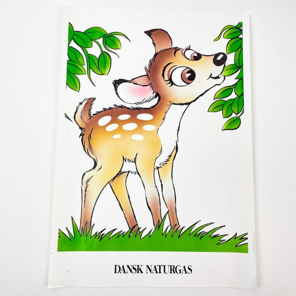 Plakat, Dansk Naturgas  30 x 40 cm.