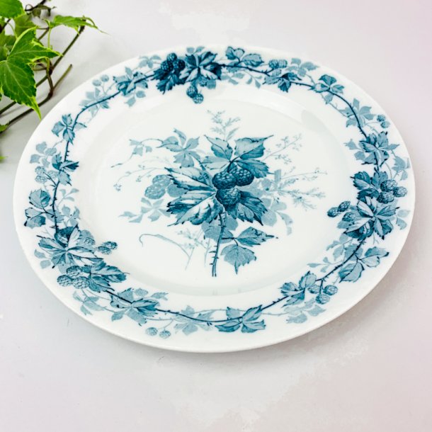 Speiseteller - Brombeere, Villeroy &amp; Boch